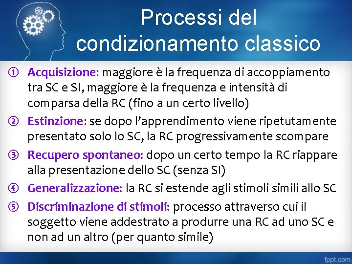 Processi del condizionamento classico ① Acquisizione: maggiore è la frequenza di accoppiamento tra SC