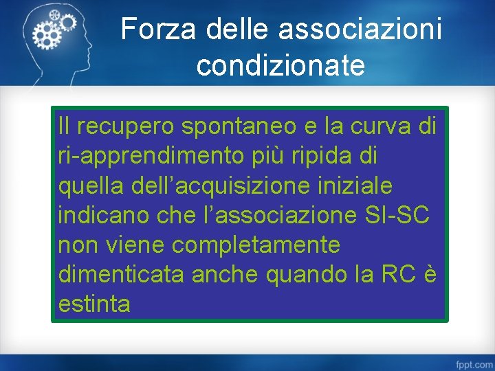 Forza delle associazioni condizionate Il recupero spontaneo e la curva di ri-apprendimento più ripida