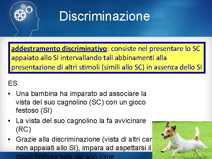 Discriminazione addestramento discriminativo: consiste nel presentare lo SC appaiato allo SI intervallando tali abbinamenti