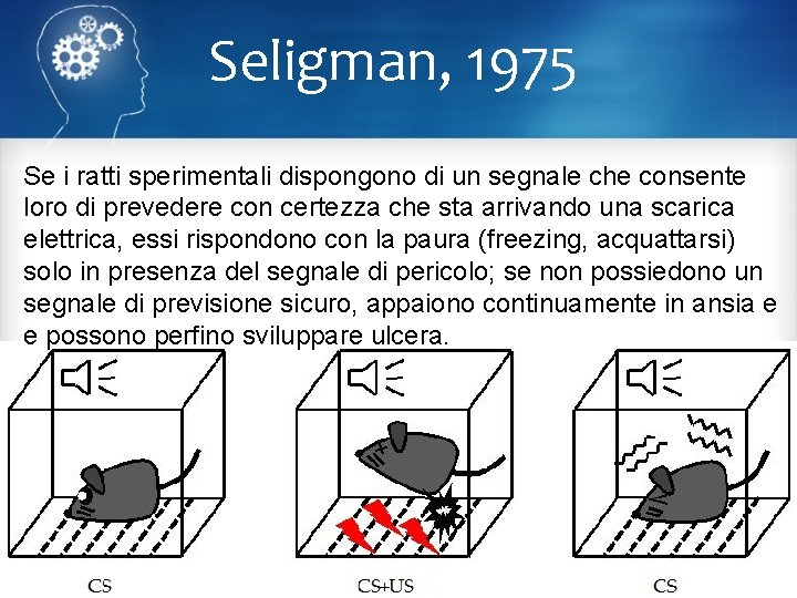 Seligman, 1975 Se i ratti sperimentali dispongono di un segnale che consente loro di