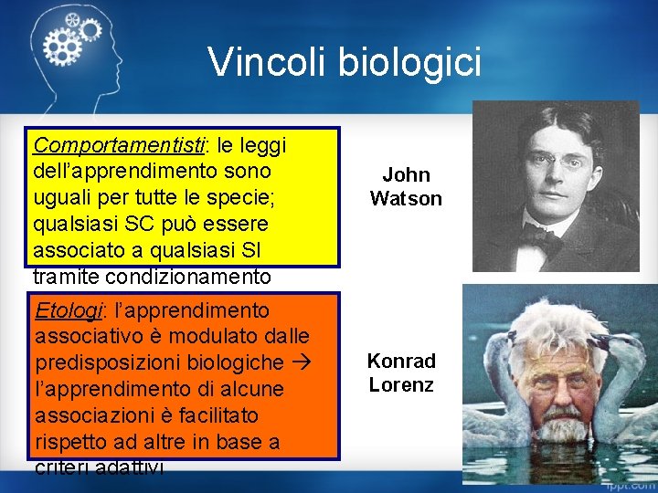 Vincoli biologici Comportamentisti: le leggi dell’apprendimento sono uguali per tutte le specie; qualsiasi SC