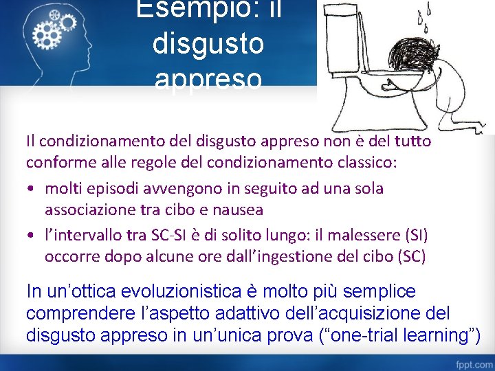 Esempio: il disgusto appreso Il condizionamento del disgusto appreso non è del tutto conforme