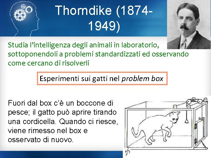 Thorndike (18741949) Studia l’intelligenza degli animali in laboratorio, sottoponendoli a problemi standardizzati ed osservando