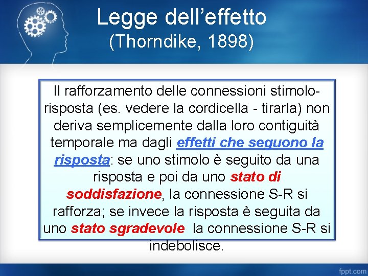 Legge dell’effetto (Thorndike, 1898) Il rafforzamento delle connessioni stimolorisposta (es. vedere la cordicella -