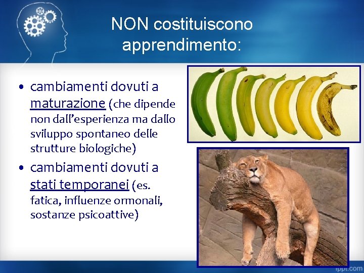 NON costituiscono apprendimento: • cambiamenti dovuti a maturazione (che dipende non dall’esperienza ma dallo