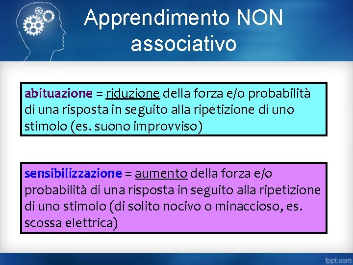 Apprendimento NON associativo abituazione = riduzione della forza e/o probabilità di una risposta in