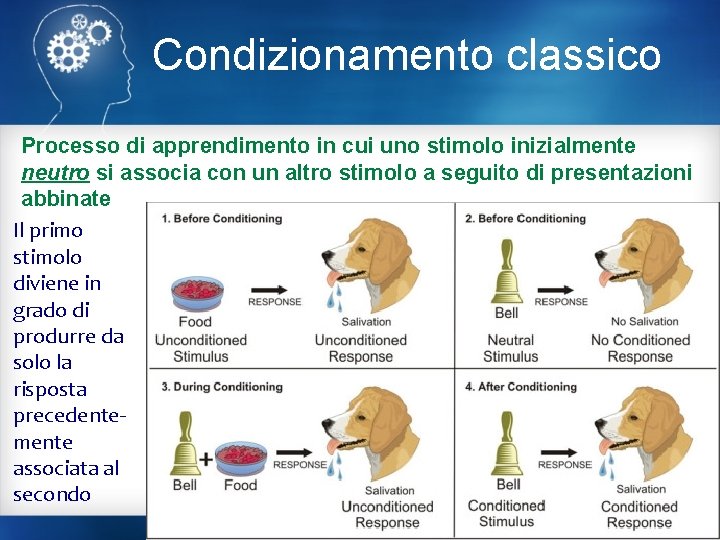 Condizionamento classico Processo di apprendimento in cui uno stimolo inizialmente neutro si associa con