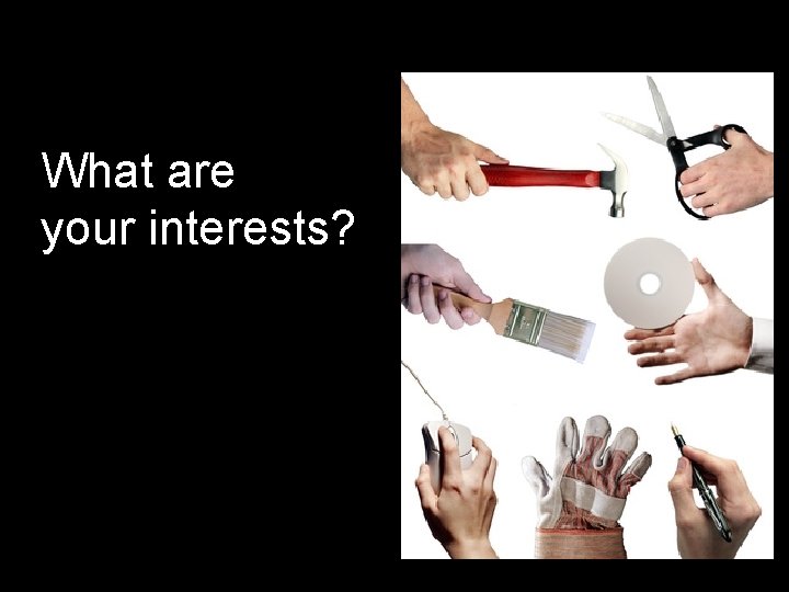 What are your interests? 