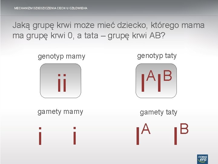 MECHANIZM DZIEDZICZENIA CECH U CZŁOWIEKA Jaką grupę krwi może mieć dziecko, którego mama ma