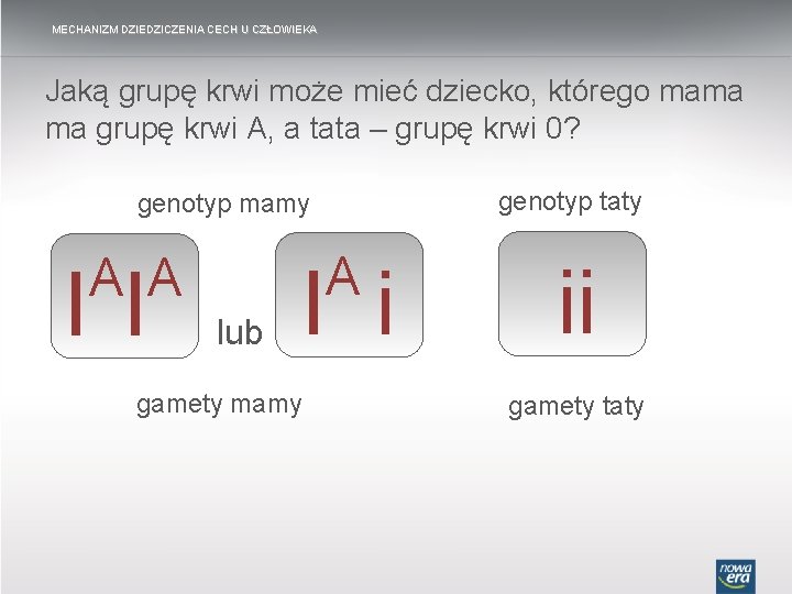 MECHANIZM DZIEDZICZENIA CECH U CZŁOWIEKA Jaką grupę krwi może mieć dziecko, którego mama ma