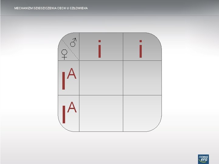 MECHANIZM DZIEDZICZENIA CECH U CZŁOWIEKA ♂ ♀ A I i i 