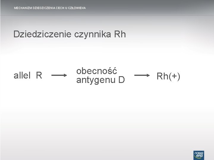 MECHANIZM DZIEDZICZENIA CECH U CZŁOWIEKA Dziedziczenie czynnika Rh allel R obecność antygenu D Rh(+)
