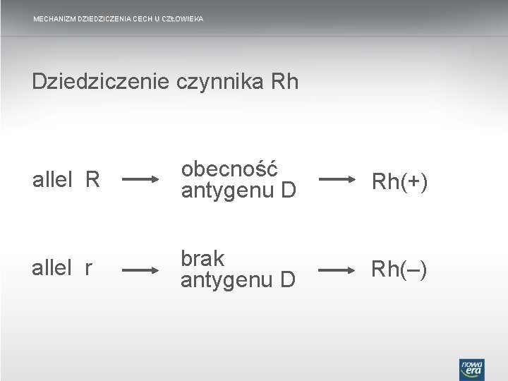 MECHANIZM DZIEDZICZENIA CECH U CZŁOWIEKA Dziedziczenie czynnika Rh allel R obecność antygenu D Rh(+)