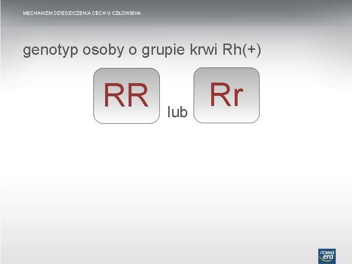 MECHANIZM DZIEDZICZENIA CECH U CZŁOWIEKA genotyp osoby o grupie krwi Rh(+) RR lub Rr