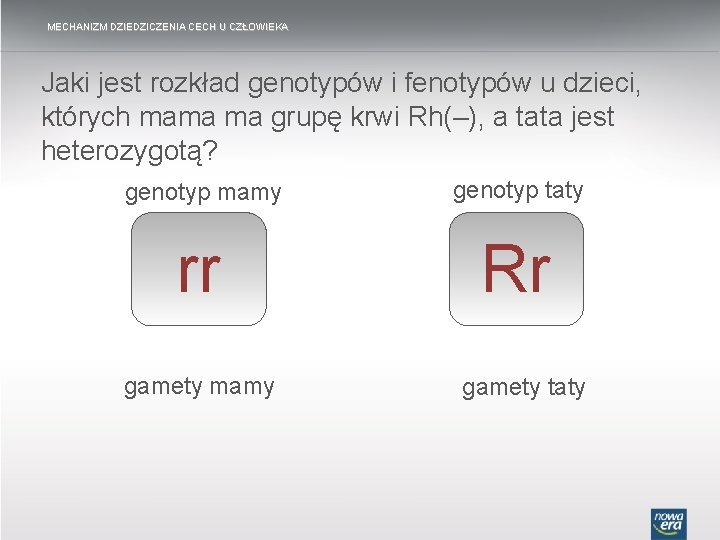 MECHANIZM DZIEDZICZENIA CECH U CZŁOWIEKA Jaki jest rozkład genotypów i fenotypów u dzieci, których