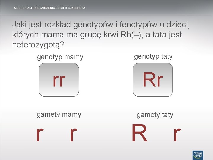 MECHANIZM DZIEDZICZENIA CECH U CZŁOWIEKA Jaki jest rozkład genotypów i fenotypów u dzieci, których