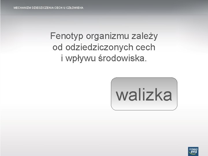 MECHANIZM DZIEDZICZENIA CECH U CZŁOWIEKA Fenotyp organizmu zależy od odziedziczonych cech i wpływu środowiska.