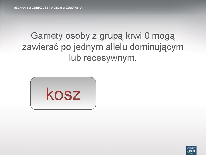 MECHANIZM DZIEDZICZENIA CECH U CZŁOWIEKA Gamety Fenotyp osoby organizmu z grupą krwi zależy 0