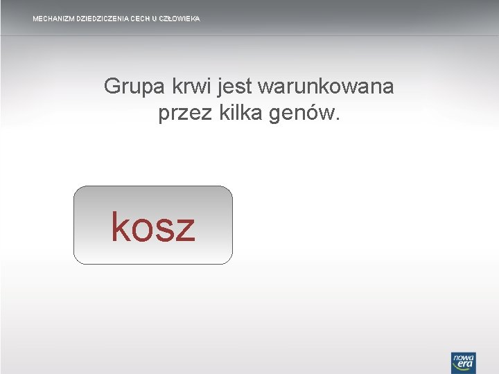 MECHANIZM DZIEDZICZENIA CECH U CZŁOWIEKA Grupa Fenotyp krwiorganizmu jest warunkowana zależy od odziedziczonych przez