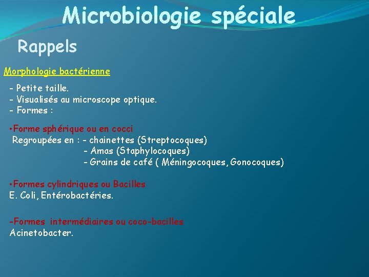 Microbiologie spéciale Rappels Morphologie bactérienne - Petite taille. - Visualisés au microscope optique. -