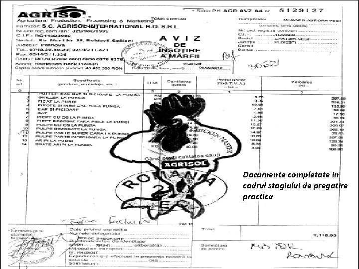 Documente completate in cadrul stagiului de pregatire practica 