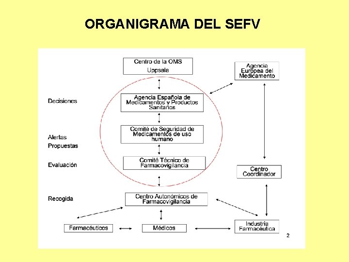 ORGANIGRAMA DEL SEFV 