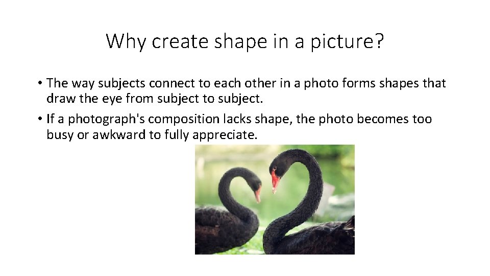 Why create shape in a picture? • The way subjects connect to each other