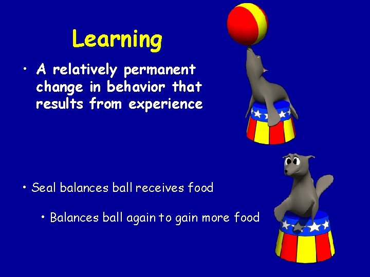 Learning • A relatively permanent change in behavior that results from experience • Seal