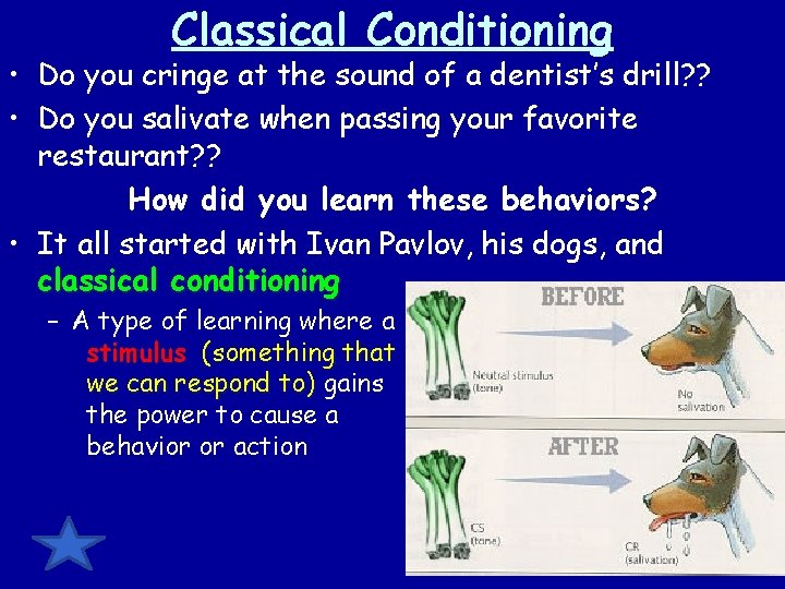 Classical Conditioning • Do you cringe at the sound of a dentist’s drill? ?