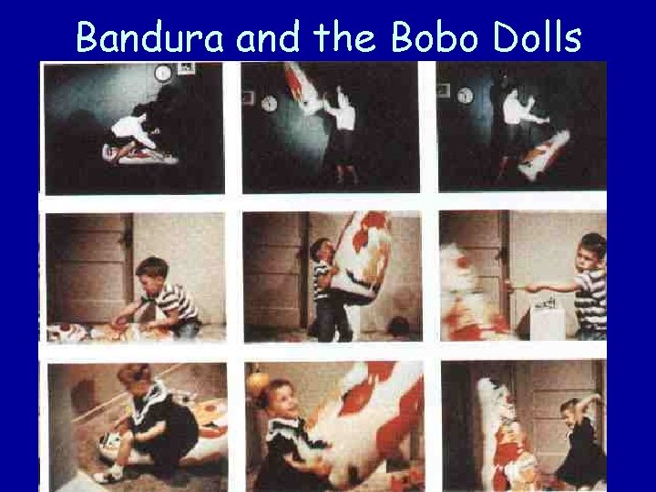 Bandura and the Bobo Dolls 