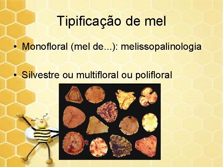 Tipificação de mel • Monofloral (mel de. . . ): melissopalinologia • Silvestre ou
