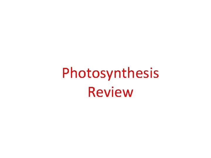 Photosynthesis Review 