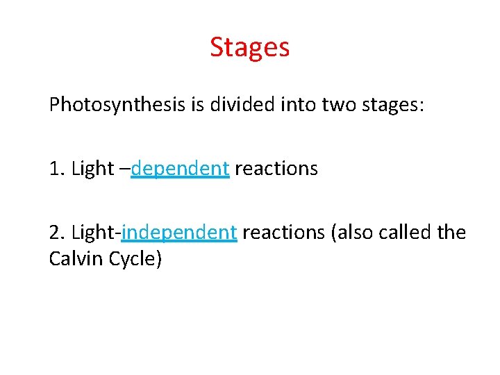 Stages Photosynthesis is divided into two stages: 1. Light –dependent reactions 2. Light-independent reactions