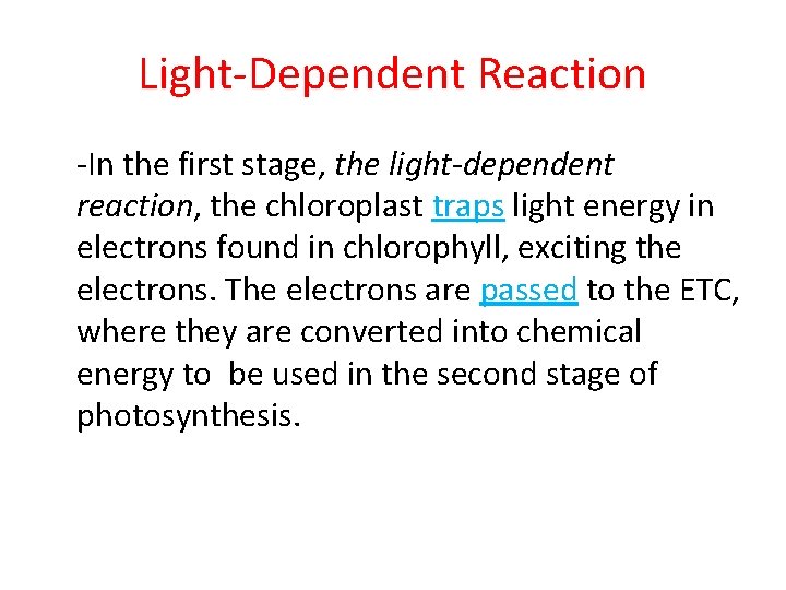 Light-Dependent Reaction -In the first stage, the light-dependent reaction, the chloroplast traps light energy