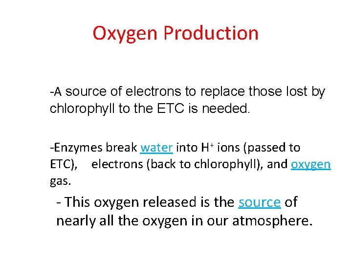 Oxygen Production -A source of electrons to replace those lost by chlorophyll to the