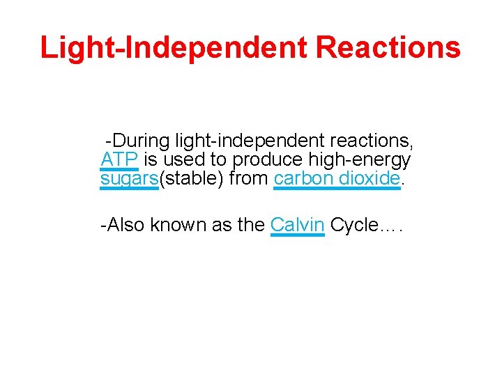 Light-Independent Reactions -During light-independent reactions, ATP is used to produce high-energy sugars(stable) from carbon