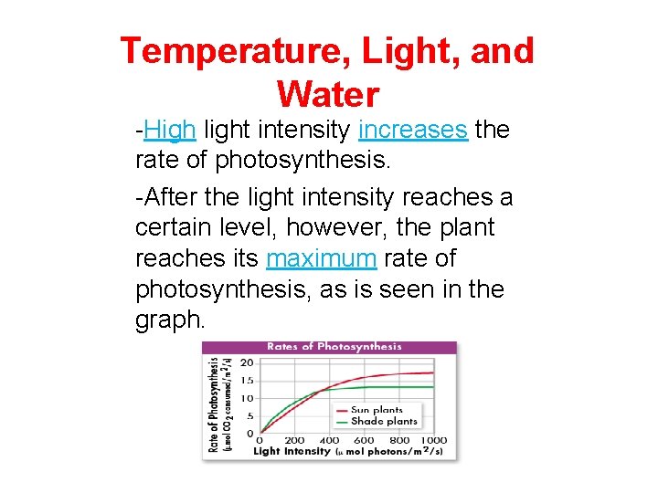 Temperature, Light, and Water -High light intensity increases the rate of photosynthesis. -After the