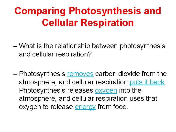 Comparing Photosynthesis and Cellular Respiration – What is the relationship between photosynthesis and cellular