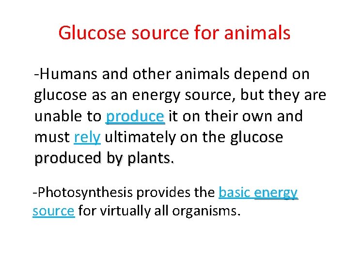 Glucose source for animals -Humans and other animals depend on glucose as an energy