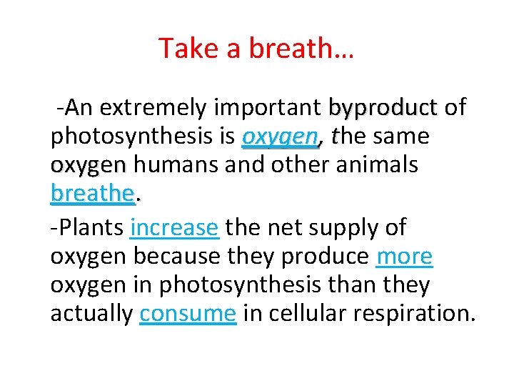 Take a breath… -An extremely important byproduct of photosynthesis is oxygen, the t same