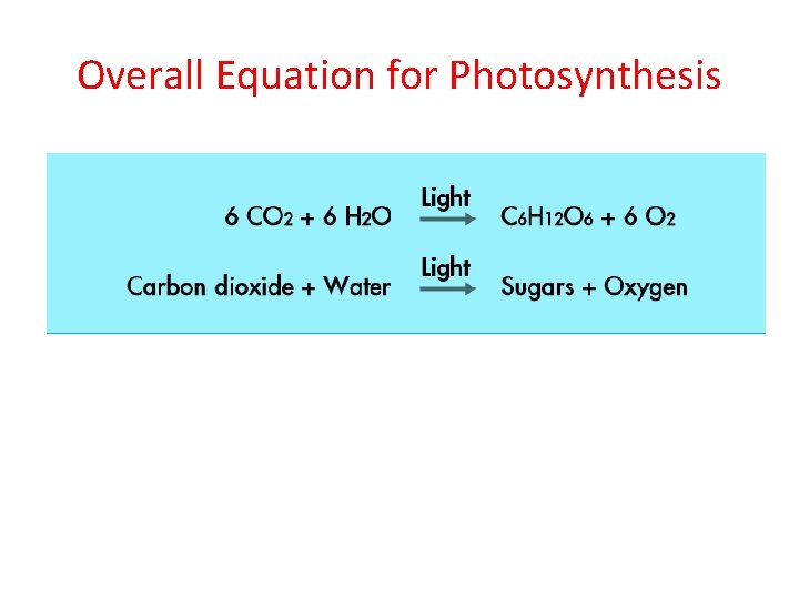 Overall Equation for Photosynthesis 
