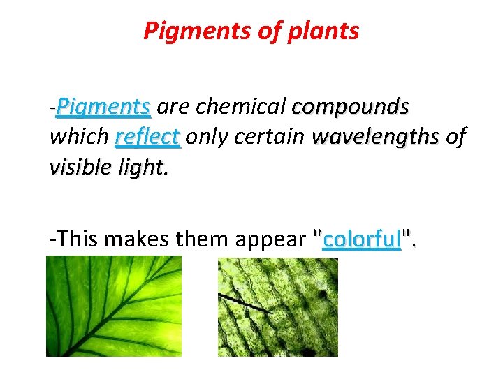 Pigments of plants -Pigments are chemical compounds which reflect only certain wavelengths of visible