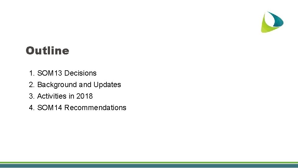 Outline 1. SOM 13 Decisions 2. Background and Updates 3. Activities in 2018 4.