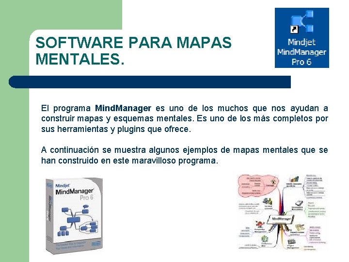 SOFTWARE PARA MAPAS MENTALES. El programa Mind. Manager es uno de los muchos que