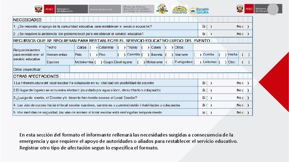 En esta sección del formato el informante rellenará las necesidades surgidas a consecuencia de