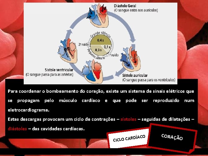 Para coordenar o bombeamento do coração, existe um sistema de sinais elétricos que se