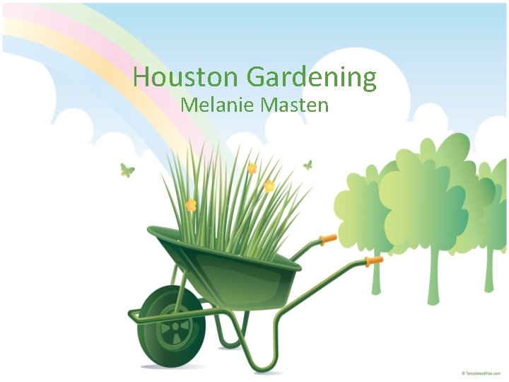 Houston Gardening Melanie Masten 