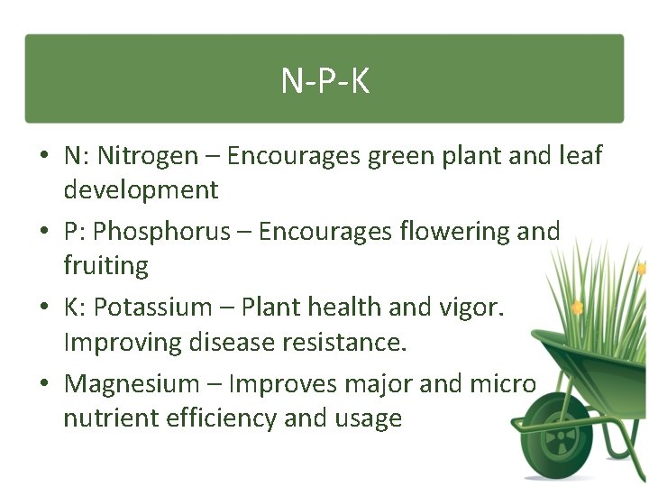 N-P-K • N: Nitrogen – Encourages green plant and leaf development • P: Phosphorus