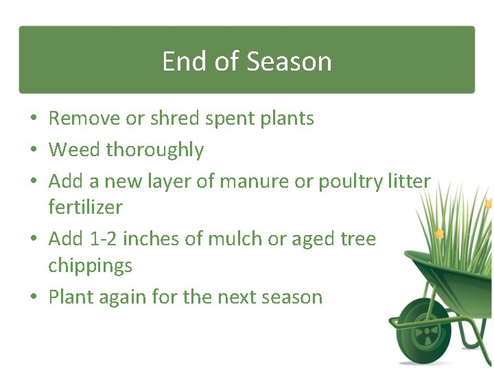 End of Season • Remove or shred spent plants • Weed thoroughly • Add