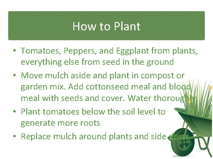 How to Plant • Tomatoes, Peppers, and Eggplant from plants, everything else from seed